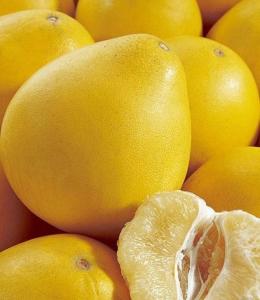 橘子皮有九大健康功效 一个柚子九大食疗功效