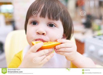 狗能不能吃橘子 儿童吃橘子能不能多吃?