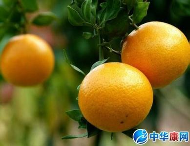 水果大比拼活动 5种橘子类水果营养大比拼