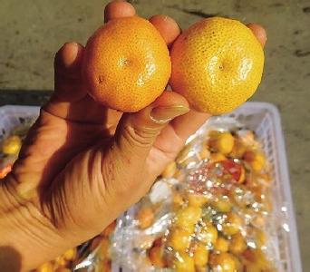 每天吃橘子有什么好处 小橘子，每天最多吃5个!