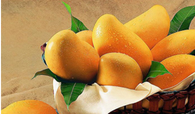 结肠炎能吃芒果吗 肠炎能吃芒果吗