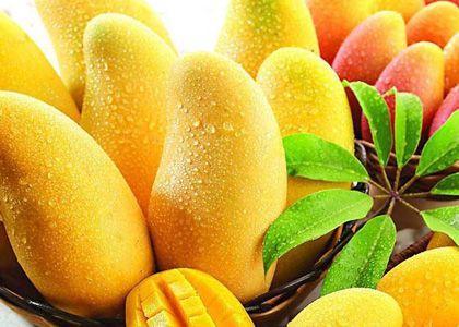 芒果和苹果哪个好营养 芒果营养