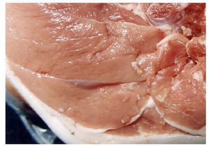 如何鉴别注水猪肉 注水猪肉的鉴别方法
