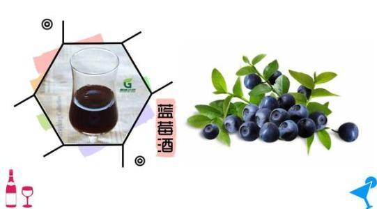 野生蓝莓酒的制作方法 蓝莓酒的酿制方法