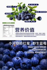 蓝莓的营养价值与禁忌 蓝莓的营养价值