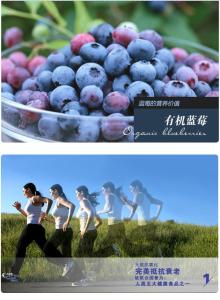 蓝莓的药用价值 蓝莓的药用功效