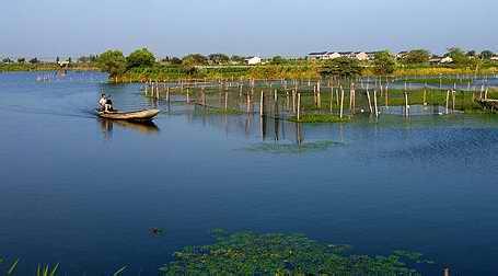 浏河岛风景区 上海浏河岛风景区