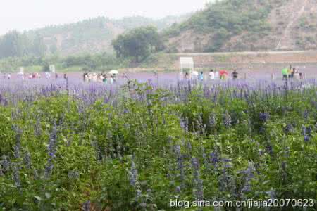 古北口水镇旅游景点 古北口香草园的景点介绍