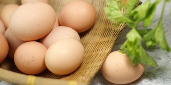 不新鲜鸡蛋图片 怎样挑选新鲜鸡蛋