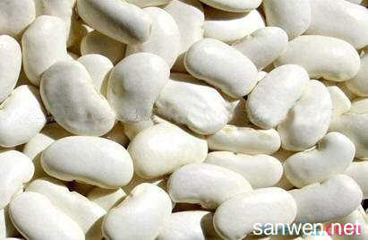 白芸豆的功效与作用 白芸豆的食疗价值