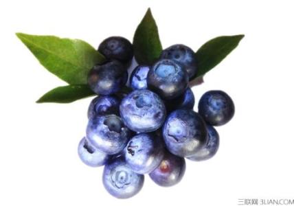 蓝莓的营养价值及功效 蓝莓的营养价值和功效有哪些