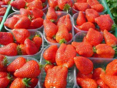 如何去除草莓农药 如何去除草莓上的致癌农药，吃草莓有什么好处