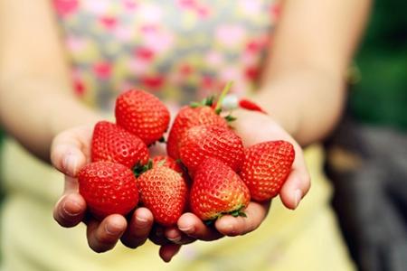 春季吃草莓 春季吃草莓的各种好处