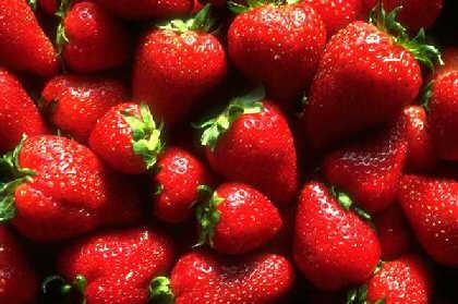 草莓叶子上黑斑 草莓可防黑斑的形成