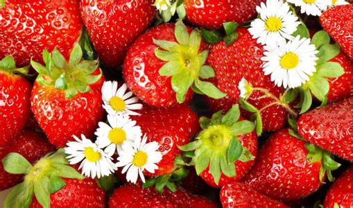 草莓属于什么性水果 果中皇后属草莓