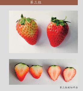 打了激素的草莓图片 如何辨别打了激素的草莓
