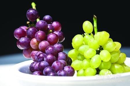 提子和葡萄的区别 如何分辨葡萄和提子