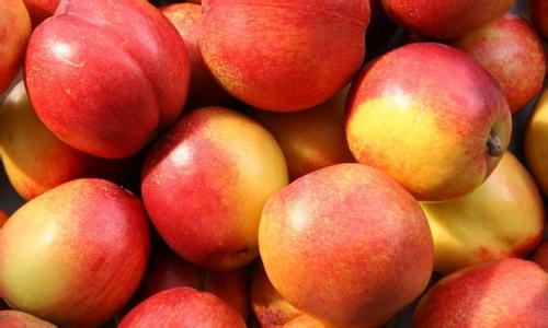 油桃孕妇可以吃吗 油桃的功效和作用