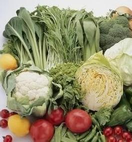夏季蔬菜种植品种 夏季蔬菜有哪些