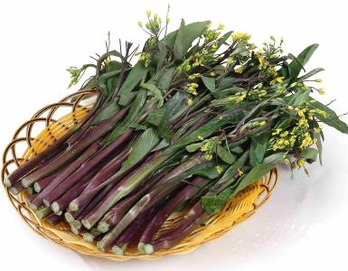 紫菜苔为什么苦 紫菜苔是什么