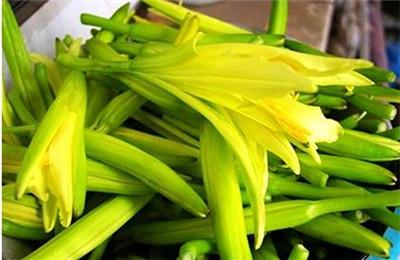 干黄花菜泡水喝的功效 黄花菜的营养价值