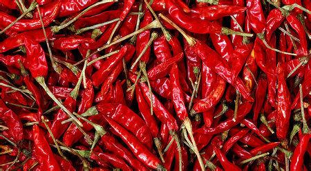 吃九种食物会让大脑 九种人不宜吃辣椒