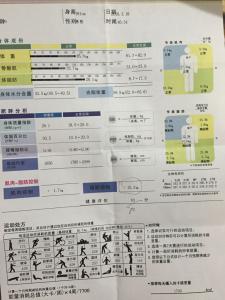 私教提供：健身房减肥计划