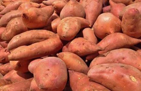 红薯减肥还是增肥 吃红薯会发胖吗