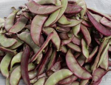 扁豆营养价值 红扁豆的营养价值