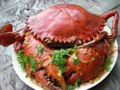 迷你辣椒螃蟹怎么养 辣椒螃蟹怎么做