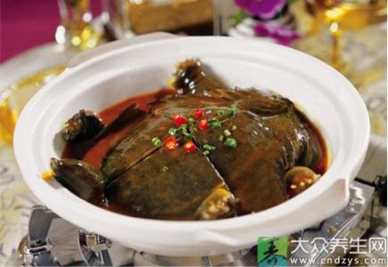 甲鱼烹饪方法 甲鱼的烹饪方法精选