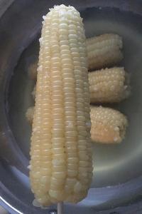 粘玉米和糯玉米的区别 粘玉米的营养价值