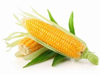 玉米的功效与作用 玉米6大功效