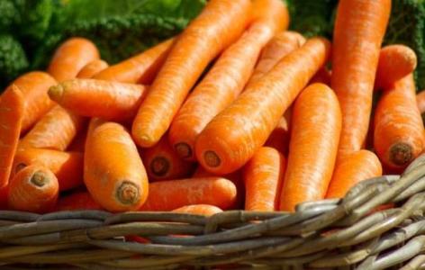 小学生怎么吃更健康 胡萝卜怎么吃才更健康