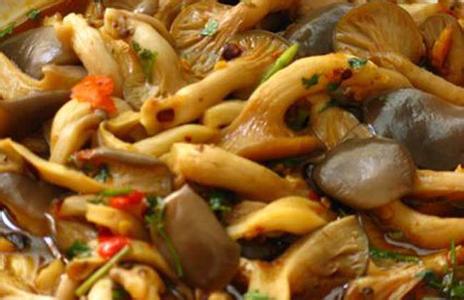 凤尾菇的食用方法 凤尾菇烹饪方法