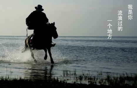 流浪的好地方有那些 如果，我只是你流浪过的一个地方