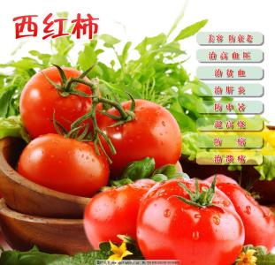 西红柿的功效与作用 西红柿的营养价值