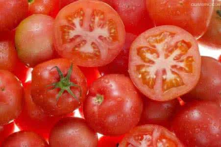 西红柿种子10大品牌 西红柿的10大治病功效