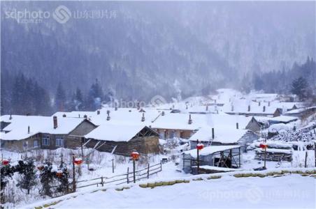 黑龙江牡丹江雪乡 黑龙江牡丹江双峰林场-雪乡