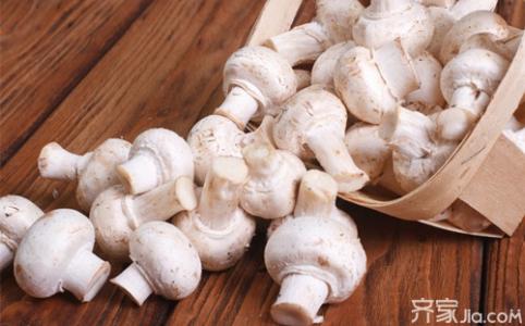 巴西蘑菇 如何挑选 挑选鲜蘑菇的技巧