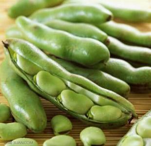 食用豆类的营养价值 豆类蔬菜多食用化湿补脾
