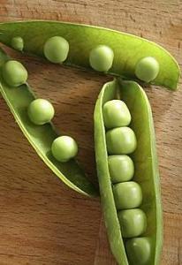 豌豆 胀气 常吃豌豆可有效肾健脾消乳胀