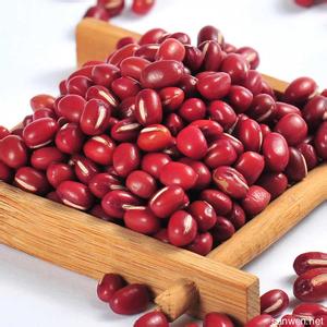 红豆的营养价值与作用 红豆的营养价值
