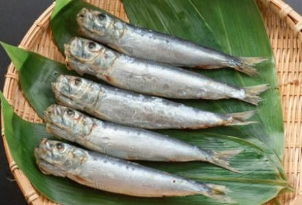 沙丁鱼怎么吃营养价值 沙丁鱼的营养价值