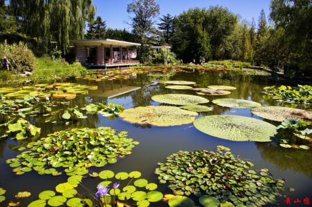 中国科学院北京植物园 北京中国科学院植物研究所植物园