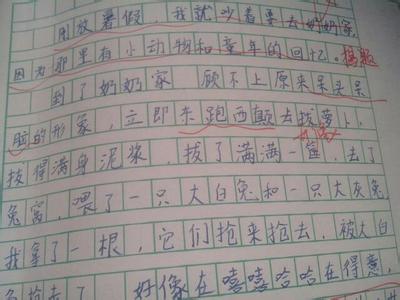 暑假的趣事作文400字 暑假趣事作文400字