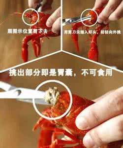 麻辣小龙虾的正确吃法 小龙虾的正确吃法