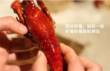 小龙虾怎么吃视频 小龙虾怎么吃图解
