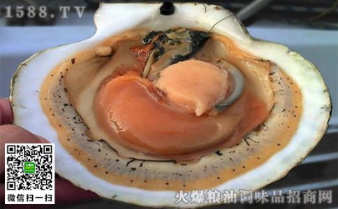 大海螺哪些部位不能吃 海螺的哪些部位不可以吃