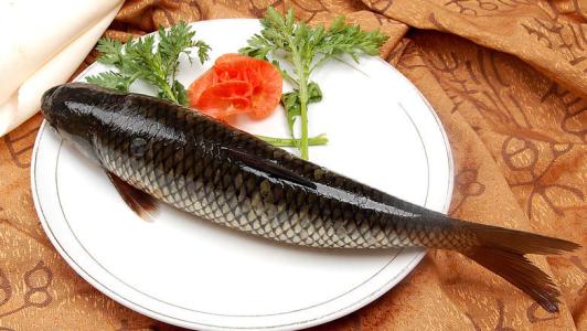 草鱼的营养价值及功效 草鱼的营养价值